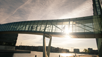 Danske Bank helps Nordic Investment Bank (NIB) issue Response Bonds to alleviate the negative effects of corona