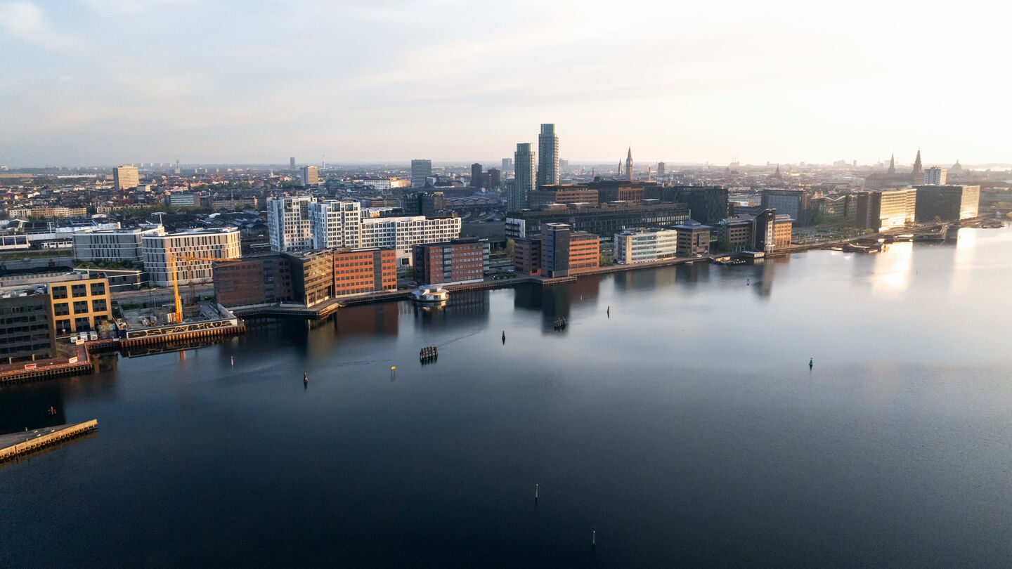 men looking at paper
